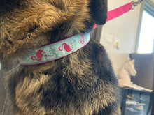 Load image into Gallery viewer, Woof N Walk Adjustable Pet Collar