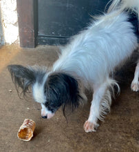 Load image into Gallery viewer, Woof ProRing Chews- Glucosamine Chews 2 Variations

