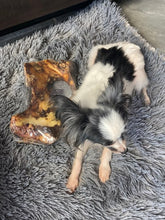 Load image into Gallery viewer, Butcher's Prime Hipster - Large Dog
