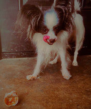 Load image into Gallery viewer, Woof ProRing Chews- Glucosamine Chews 2 Variations
