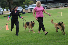 Load image into Gallery viewer, Woof N Walk Latigo Leather 6' professional leash
