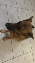 Load and play video in Gallery viewer, Woof ProTrain Treats -  sample bag
