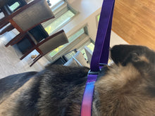 Load image into Gallery viewer, Woof N Walk Adjustable Pet Collar

