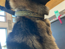 Load image into Gallery viewer, Woof N Walk Adjustable Pet Collar
