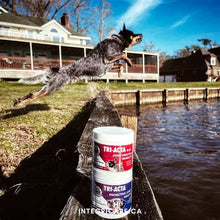 Load image into Gallery viewer, TRI-ACTA H.A. Maximum Strength with Hyaluronic Acid, Dog &amp; Cat All Natural Skeletal Supplement
