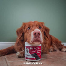 Load image into Gallery viewer, TRI-ACTA H.A. Maximum Strength with Hyaluronic Acid, Dog &amp; Cat All Natural Skeletal Supplement

